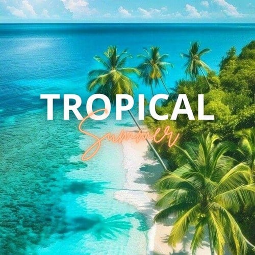 Tropical Summer: If You Feel Like Summer, This Musical Choice Is Made for You! Fly with Your Head on a Tropical Beach