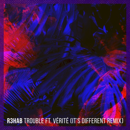R3hab, VÉRITÉ, It's Different-Trouble