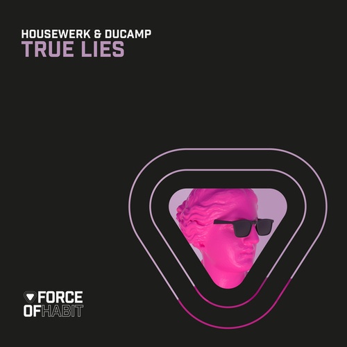 Ducamp, HouseWerk-True Lies