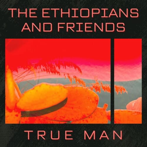 True Man: The Ethiopians with Friends