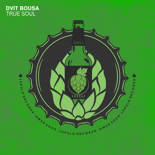 Dvit Bousa-True Soul
