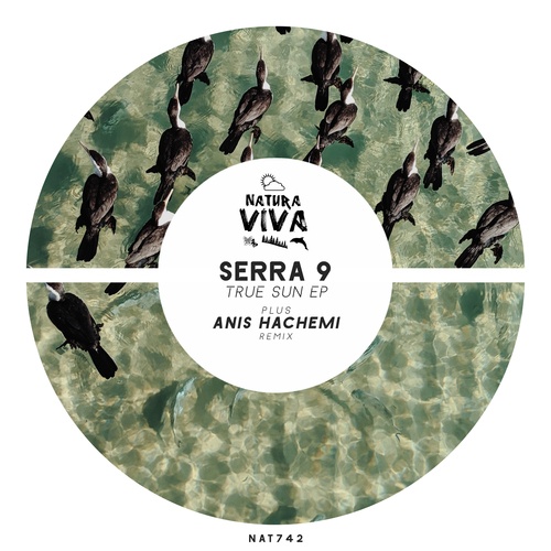 Serra 9, Anis Hachemi-True Sun