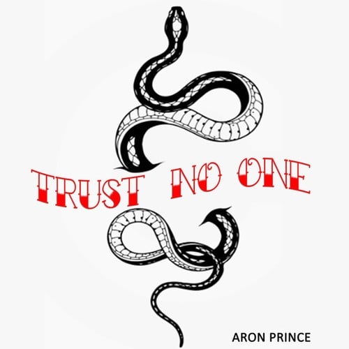 Aron Prince, Arnaud D-Trust