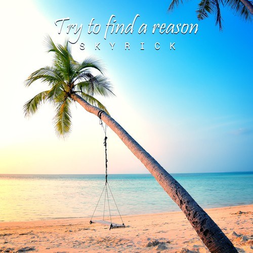 Skyrick-Try to Find a Reason