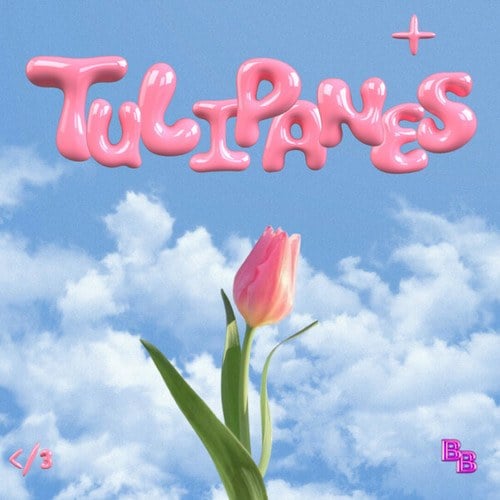 BB Aldda-Tulipanes