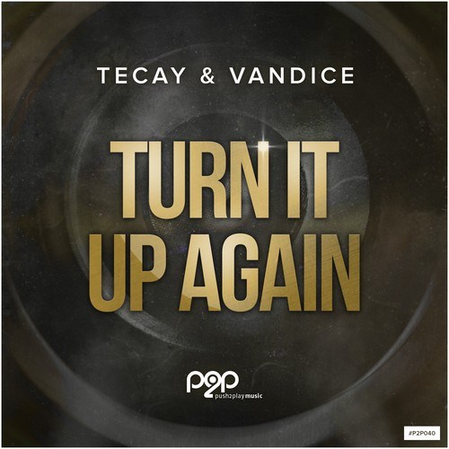 TeCay, Vandice, Beastpunch, Manu3L, Mellow Reflector, Natural Mind, TobiMorrow-Turn It up Again