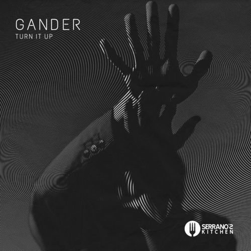 GANDER-Turn It Up