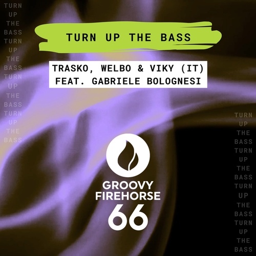 Gabriele Bolognesi, Trasko, Welbo, Viky (IT)-Turn up the Bass