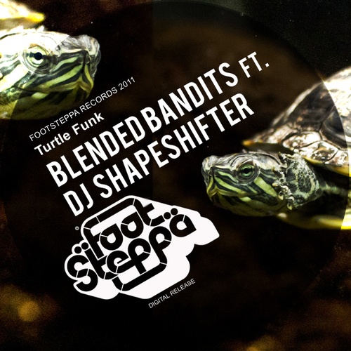 Blended Bandits, Dj Shapeshifter-Turtlefunk