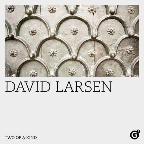 David Larsen-Two of a Kind