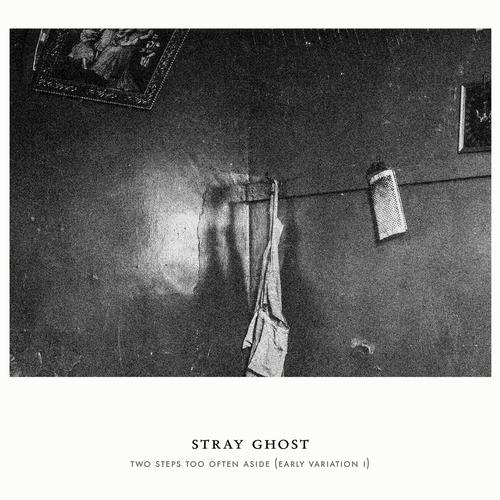 Stray Ghost-Two Steps Too Often Aside