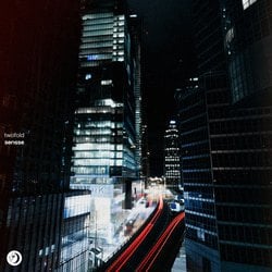 twofold - Sensse