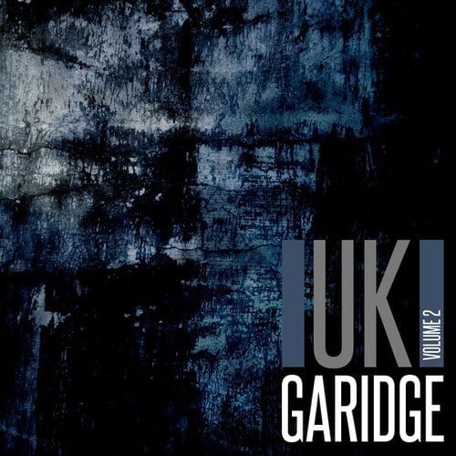 Various Artists-UK Garidge, Vol. 2