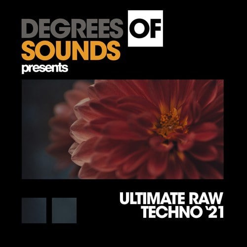 Various Artists-Ultimate Raw Techno Summer '21