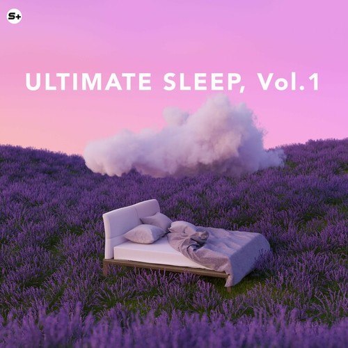 Ultimate Sleep, Vol. 1