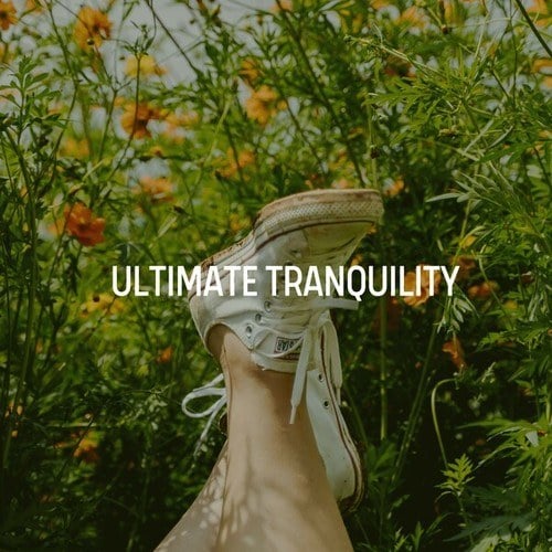 Ultimate Tranquility