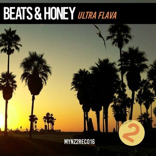 Beats & Honey-Ultra Flava (House Mix)