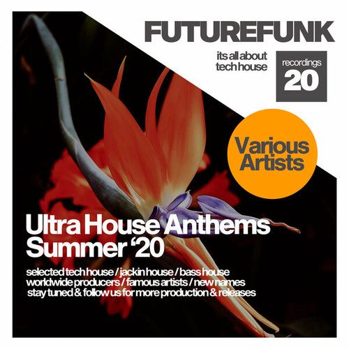 Ultra House Anthems (Summer '20)