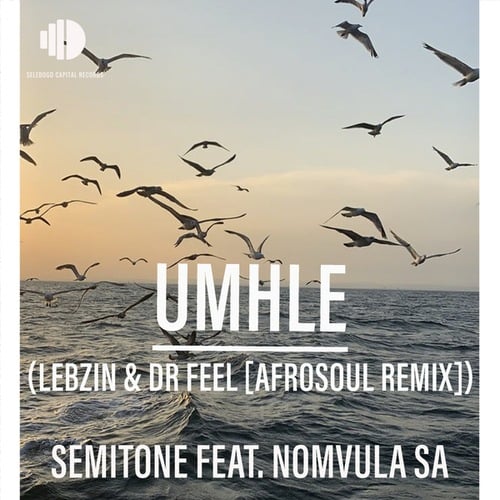 Semitone, Nomvula SA, Lebzin, Dr Feel-Umhle (Lebzin & Dr Feel AfroSoul Remix)