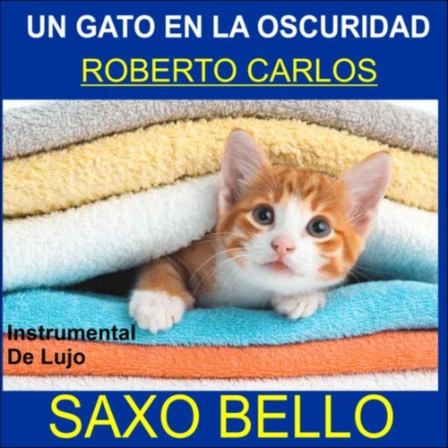 UN GATO EN LA OSCURIDAD (ROBERTO CARLOS)