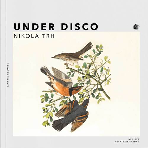 Nikola TRH-Under Disco