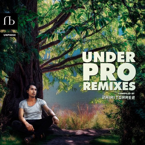 Zairi Torrez, Enrique Calvetty, Delano, Francisco Castro, JoC H, 2Qimic, FMENEZS-Under Pro Remixes, Vol. 1