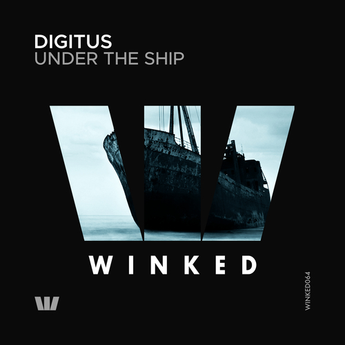 Digitus-Under the Ship
