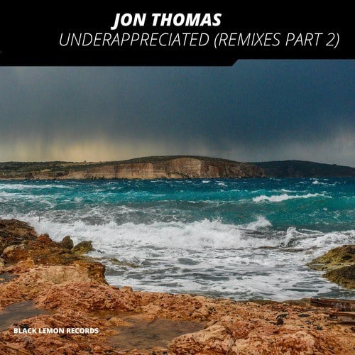 Jon Thomas, Taigo, Edgar Picado, RR, Pedro Delamigo, Domo, Disco Code Violation-Underappreciated (Remixes, Pt. 2)