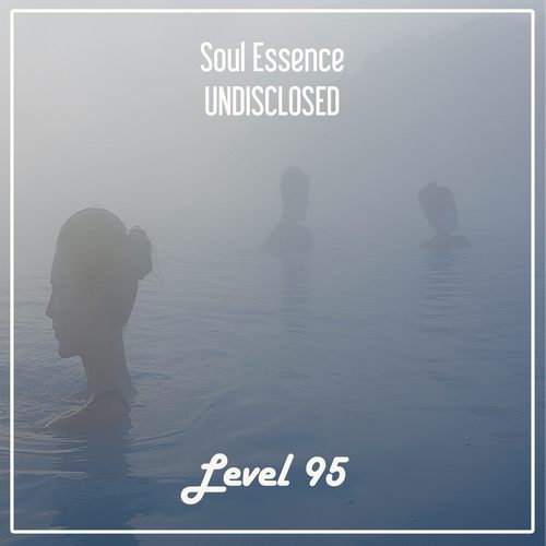 Soul Essence-Undisclosed