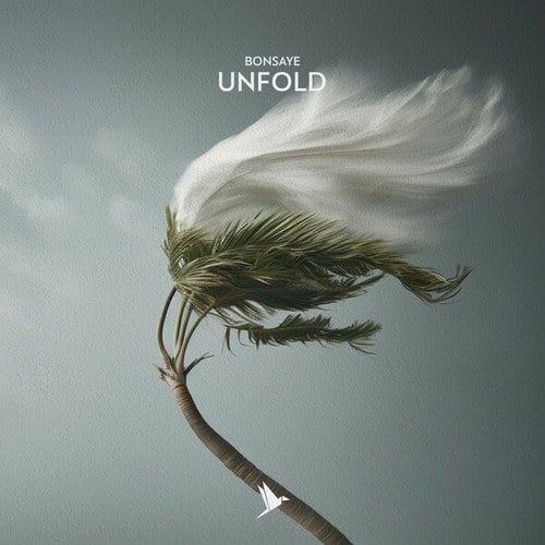 Bonsaye-Unfold