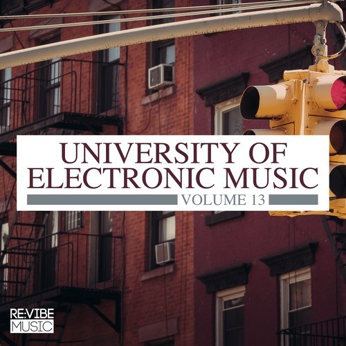 Various Artists-University of Electronic Music, Vol. 13