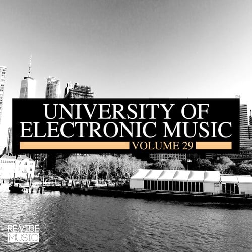 Various Artists-University of Electronic Music, Vol. 29