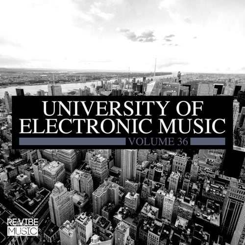 Various Artists-University of Electronic Music, Vol. 36