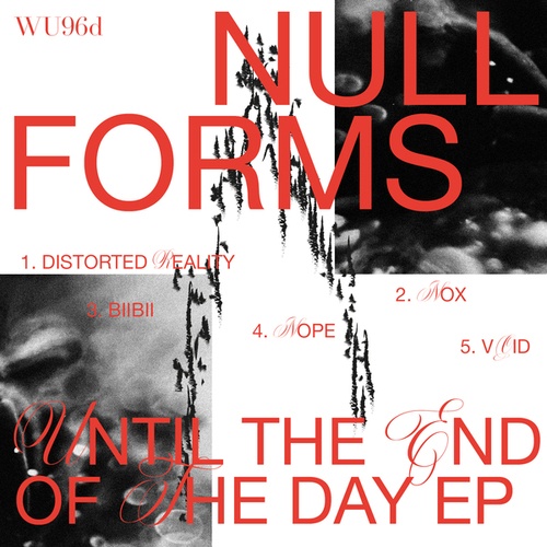 Null Forms-Until The End Of Day