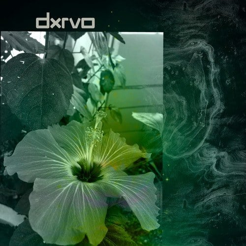 Dxrvo-Untitled Rhythms 007