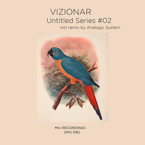 Vizionar, Analogic System-Untitled Series 02