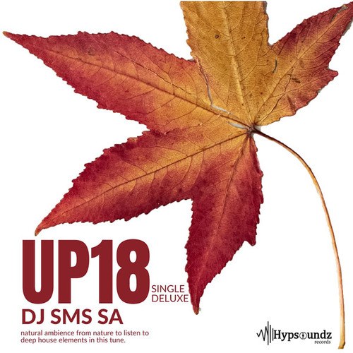 DJ SMS SA-Up18