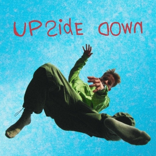 PL80-Upside Down