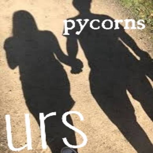 Pycorns-Urs