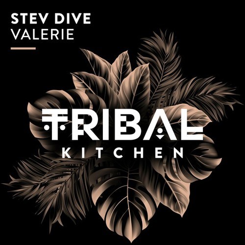 Stev Dive-Valerie (Extended Mix)
