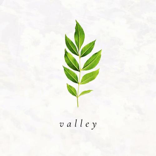 Valley