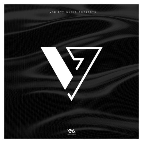 The Deepshakerz, Kid Enigma, Marco Lys, Rion S, Danny (AT), Mat.Theo, Gianluca Rattalino, Kidoo-Variety Music Pres. V -, Vol. 52