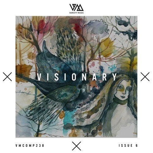 Various Artists-Variety Music Pres. Visionary Issue 6