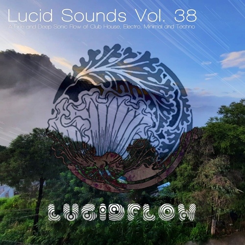 Various Artists-Various Artists - Lucid Sounds, Vol. 38 (A Fine and Deep Sonic Flow of Club House, Electro, Minimal and Techno)