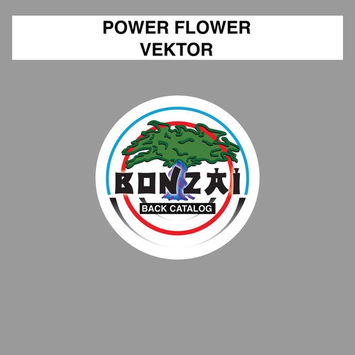 Power Flower-Vektor