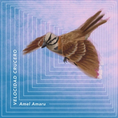 Amel Amaru-Velocidad Crucero