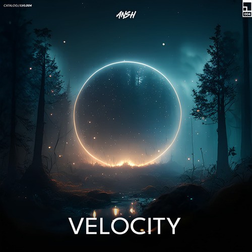 ANSH-Velocity