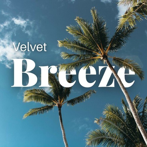 Velvet Breeze