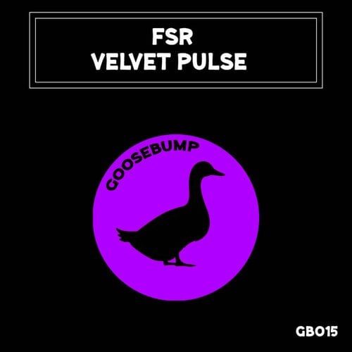 Velvet Pulse