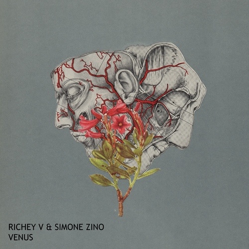 Richey V, Simone Zino-Venus